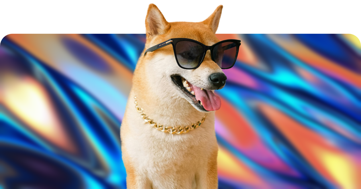 Um cachorro com óculos escuros.